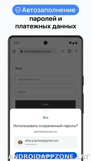 Google Chrome скриншот 6